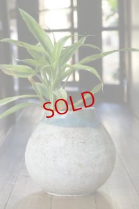 あよお 金澤尚宜　特大花器　まだねむい