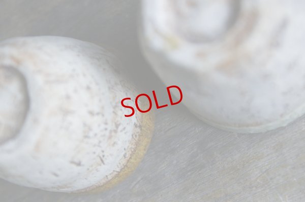 画像6: あよお 金澤尚宜　錆美シリーズ／カップ（小）