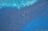 画像5: あよお 金澤尚宜　大皿　約25cm　青の釉景