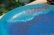 画像6: あよお 金澤尚宜　大皿　約25cm　青の釉景