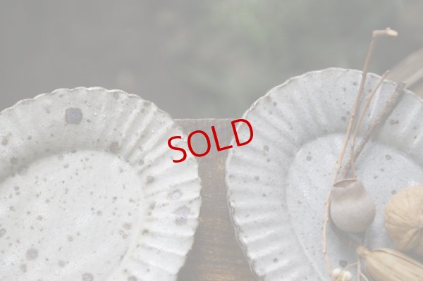 画像8: 加藤祥孝　グレー粉引 7寸楕円輪花皿