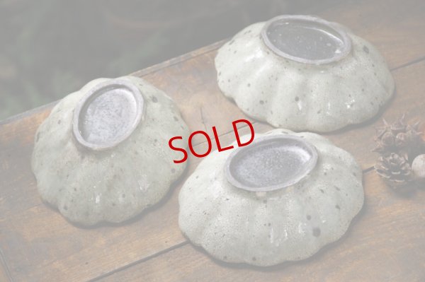 画像8: 加藤祥孝　荒山葵粉引 6寸楕円輪花深鉢