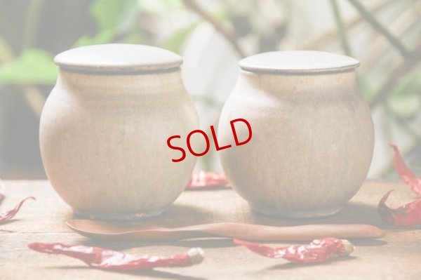 画像2: 加藤祥孝　山葵粉引　塩壺 