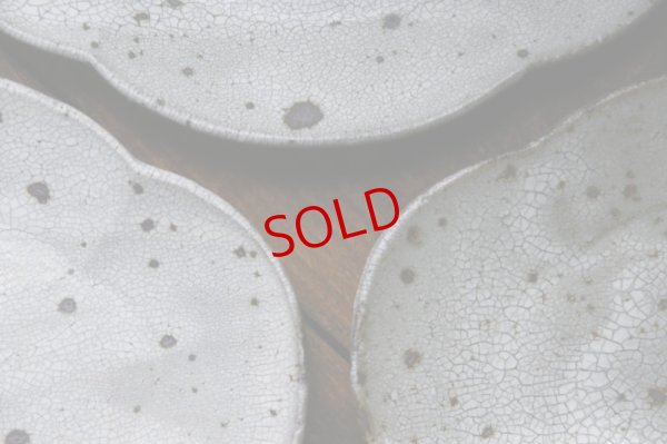 画像7: 加藤祥孝　グレー粉引　 7寸木瓜皿 