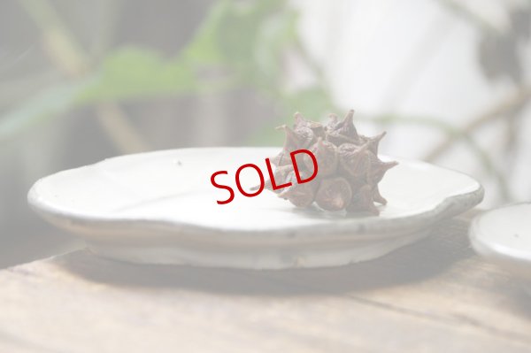 画像2: 加藤祥孝　粉引　5.5寸木瓜皿 【アソート作品】