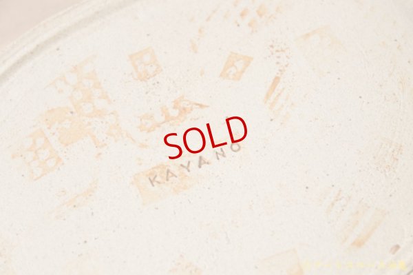 画像7: 栢野紀文　ライオンカレー皿