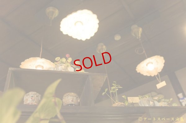 画像9: 増田光　なかよしシェード