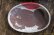 画像3: 増田光　赤玉楕円皿
