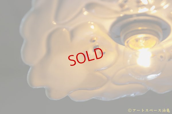 画像6: 増田光　なかよしシェード