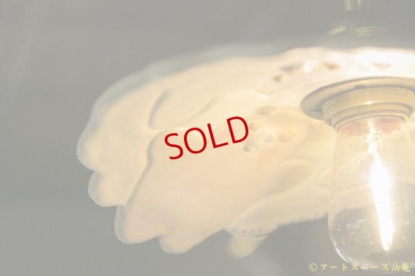 画像4: 増田光　なかよしシェード