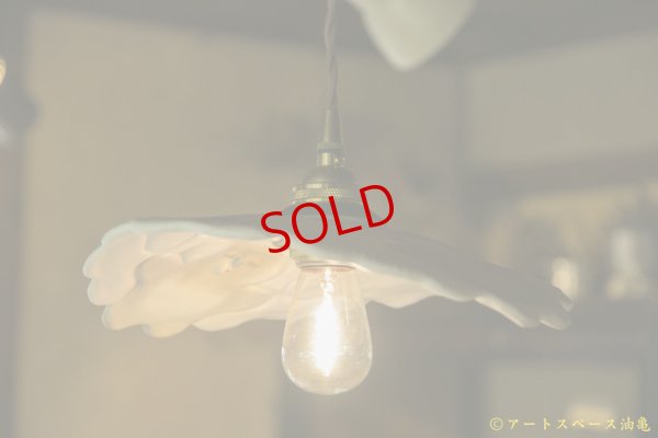 画像8: 増田光　なかよしシェード