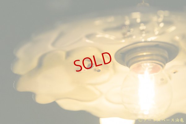 画像4: 増田光　なかよしシェード