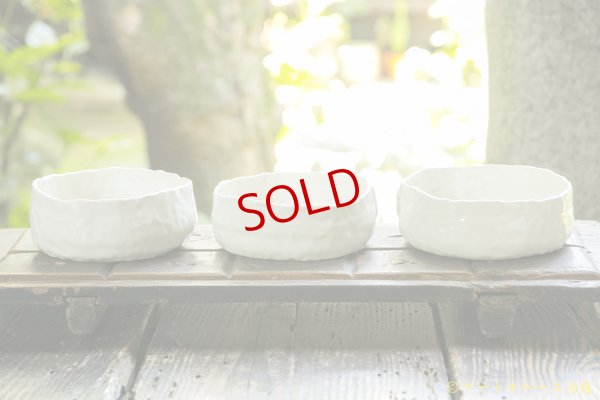 画像4: 増田光　犬平鉢