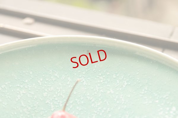 画像4: 北側雄一　碧釉七寸切立皿