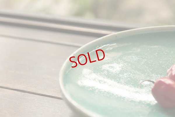 画像6: 北側雄一　碧釉七寸切立皿