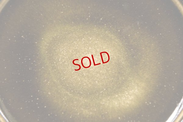 画像6: 北側雄一　窯変蕎麦釉七寸リム皿