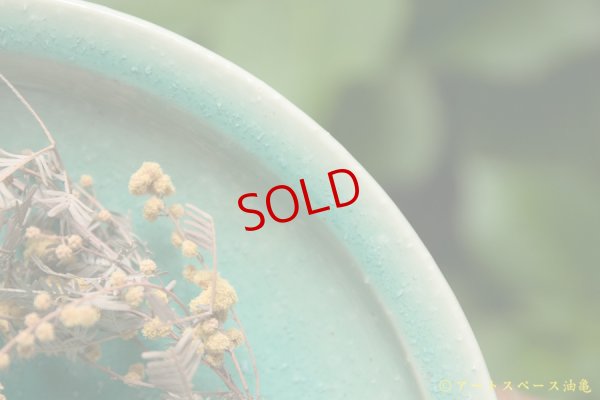 画像5: 北側雄一　碧釉7.5寸深皿