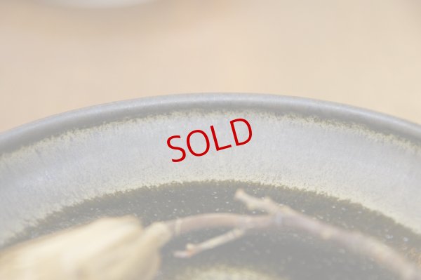 画像5: 北側雄一　窯変黒釉　六寸玉縁深皿【アソート作品】