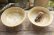 画像3: 工藤和彦　黄粉引　リム平鉢