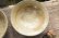 画像7: 工藤和彦　黄粉引　リム平鉢