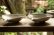 画像5: 工藤和彦　白樺ホワイト　８寸平片口鉢