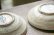 画像8: 工藤和彦　白樺ホワイト　５寸たわみ鉢