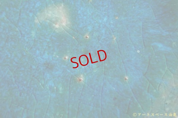 画像6: 工藤和彦　緑粉引　５寸皿　