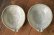 画像1: 工藤和彦　白樺ホワイト　平片口７寸鉢 (1)