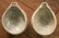 画像7: 工藤和彦　 白樺ホワイト　片口小鉢