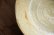 画像8: 工藤和彦　 黄粉引／白樺ホワイト　８寸たわみ皿
