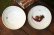 画像5: 工藤和彦　 白樺ホワイト　５寸たわみ鉢