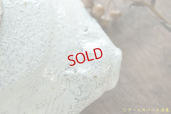 画像8: 工藤和彦　白樺ホワイト平片口７寸鉢