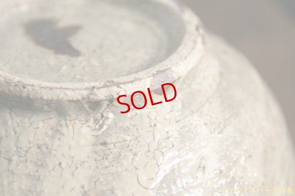 画像9: 工藤和彦　白樺ホワイト　うどん鉢