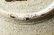 画像14: 工藤和彦　白樺ホワイト　８寸リム刻線皿