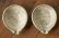 画像6: 工藤和彦　 白樺ホワイト　平片口小鉢