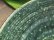 画像5: 工藤和彦　 緑粉引刻線８寸リム皿