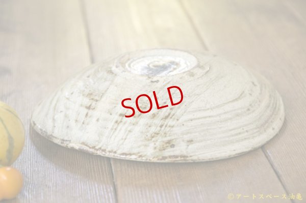 画像9: 工藤和彦　白樺刷毛目たわみ７寸皿