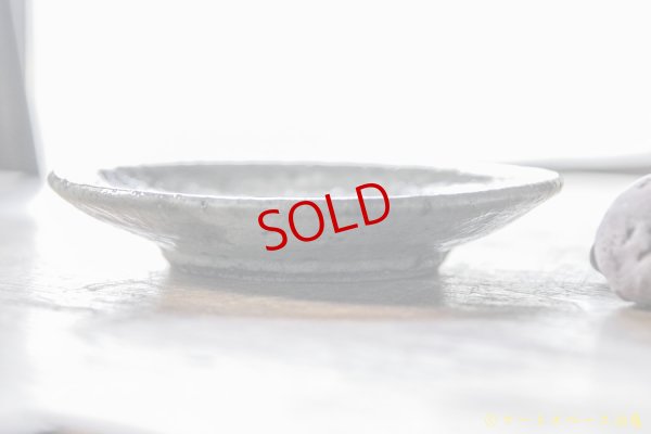 画像7: 工藤和彦　オホーツクショコツ５寸皿