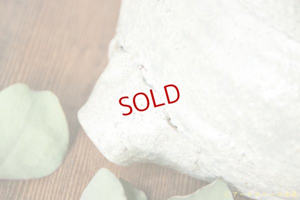 画像15: 工藤和彦　 白樺ホワイト片口７寸鉢