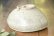 画像14: 工藤和彦　 白樺ホワイト片口７寸鉢