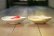 画像4: 工藤和彦　 白樺ホワイト／黄粉引　５寸たわみ鉢