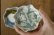 画像4: あよお 金澤尚宜　なみまめ／豆皿　