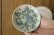 画像2: あよお 金澤尚宜　豆皿　あさもや／海の花