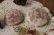 画像4: あよお　海のいきもの／手びねり豆皿 (4)