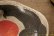 画像5: 増田光　赤丸楕円皿　ラッコ