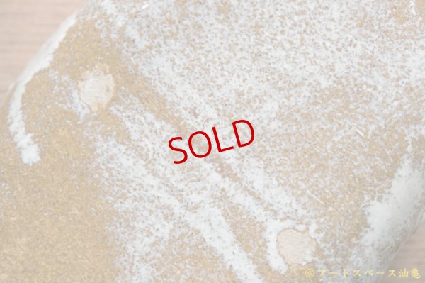 画像9: 増田光　ラッコ皿