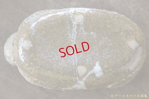 画像10: 増田光　ラッコ皿