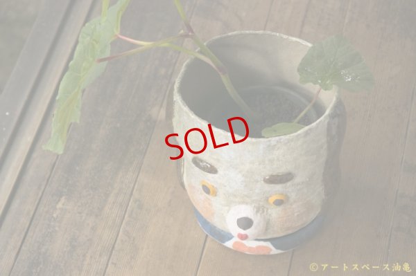 画像3: 増田光　植木鉢LL