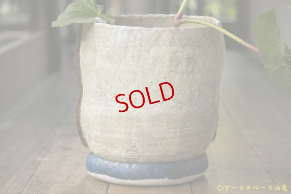 画像6: 増田光　植木鉢LL