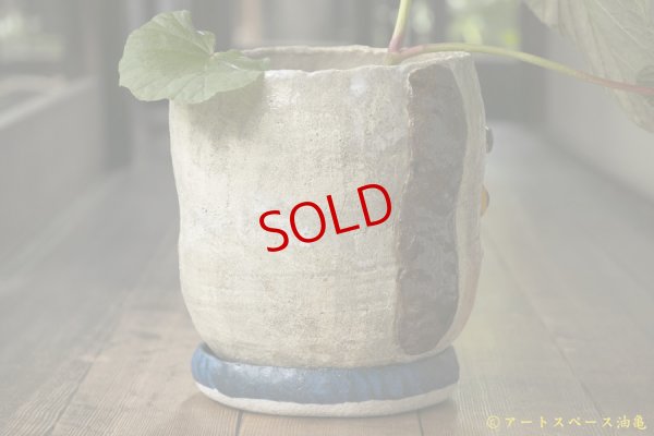 画像7: 増田光　植木鉢LL